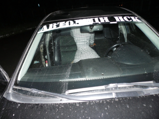 Приеду на авто-Нск (sexunsk.love)